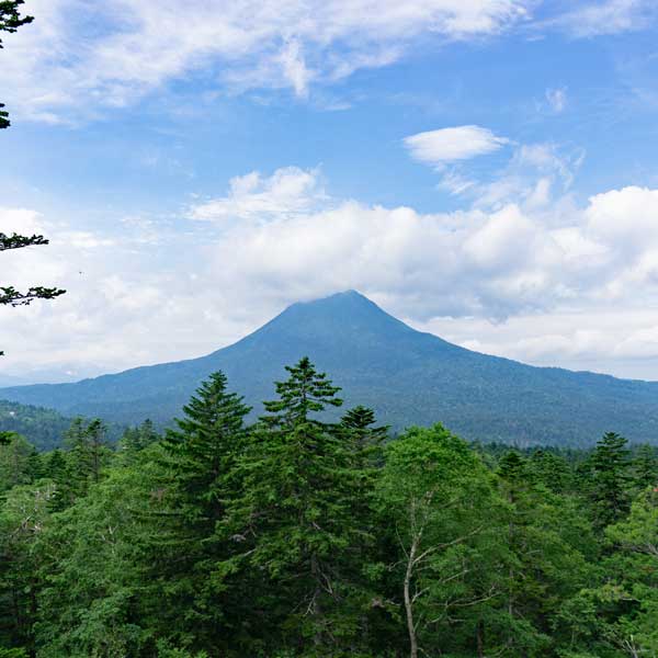 双岳台