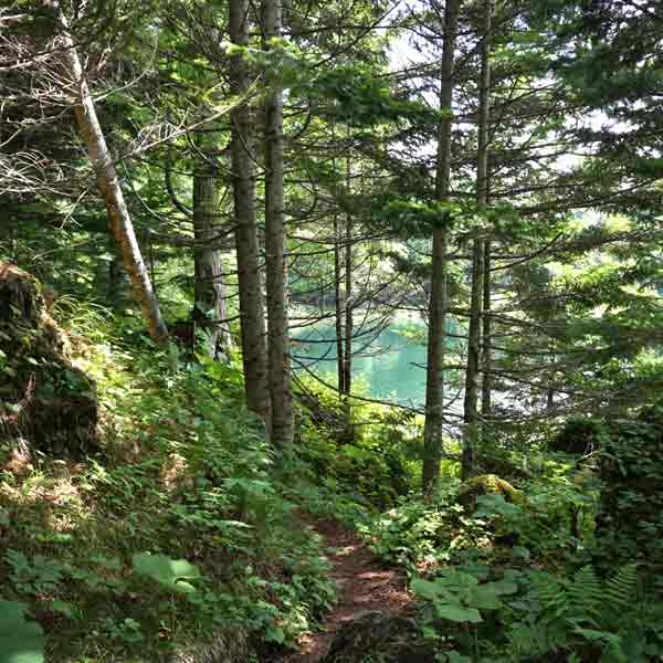 太郎湖・次郎湖 登山道
