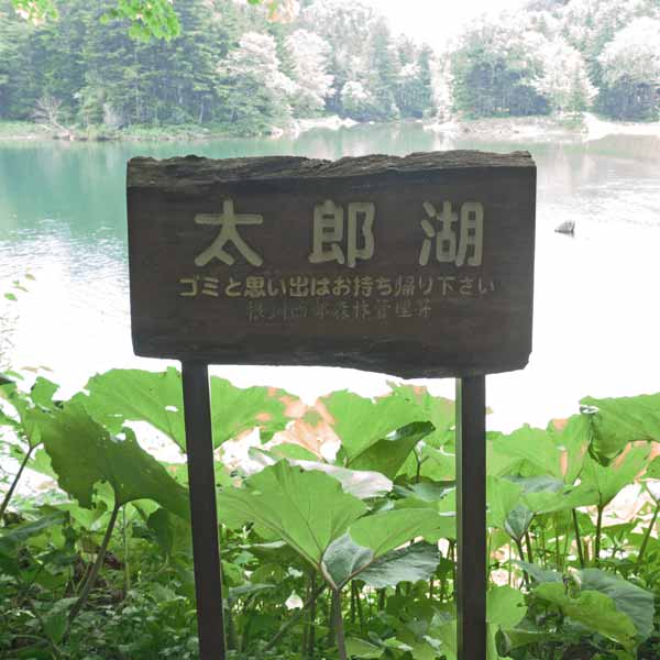 太郎湖展望スペース