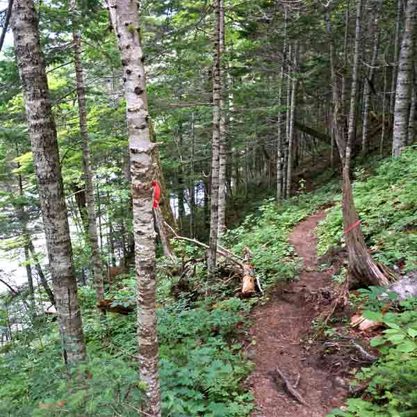 太郎湖・次郎湖 登山道