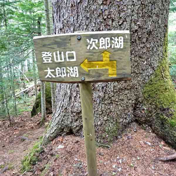 太郎湖・次郎湖 分岐