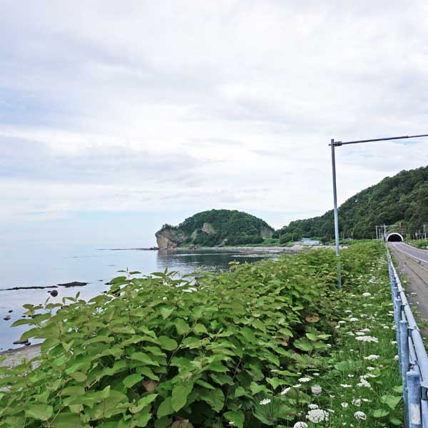 ウトロ 亀岩