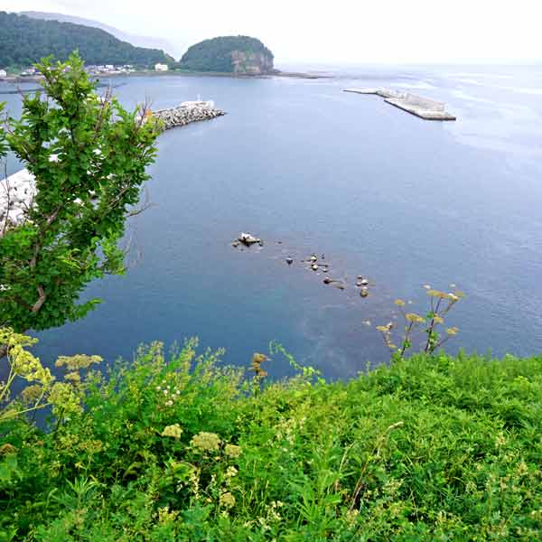 ウトロ漁港