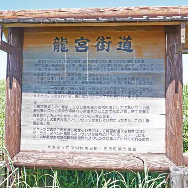 看板 竜宮街道について