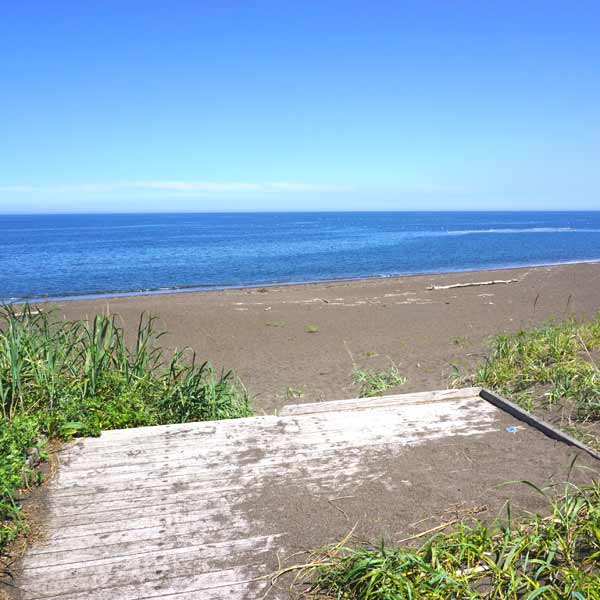 ワッカ原生花園 海岸