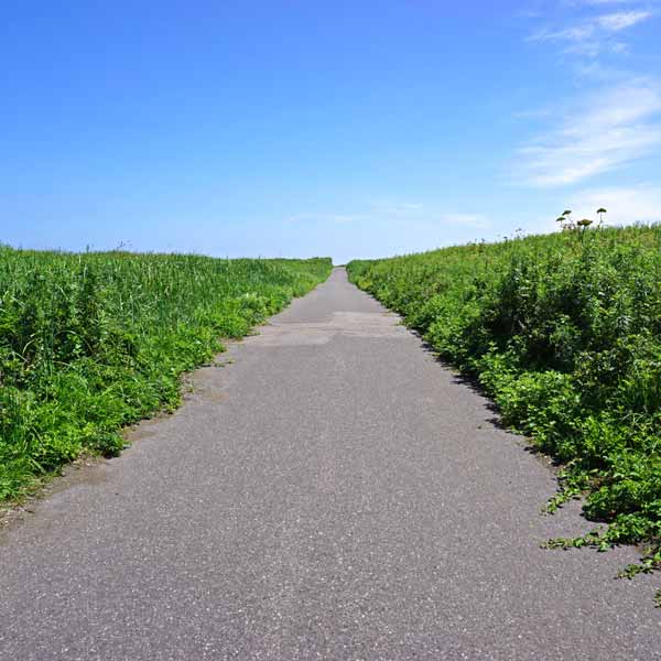 ワッカ原生花園 サイクリングコース