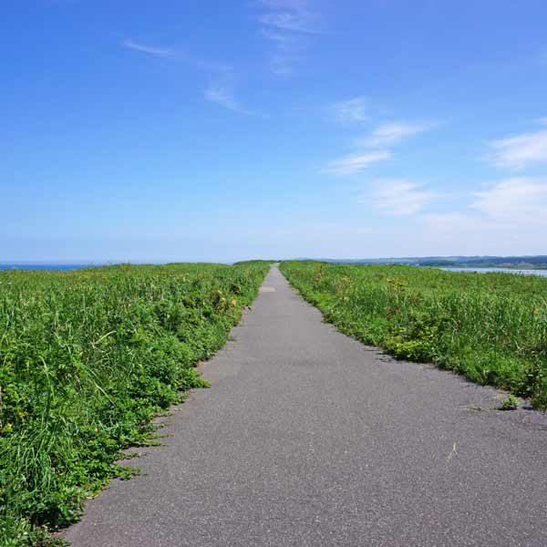 ワッカ原生花園 サイクリングコース