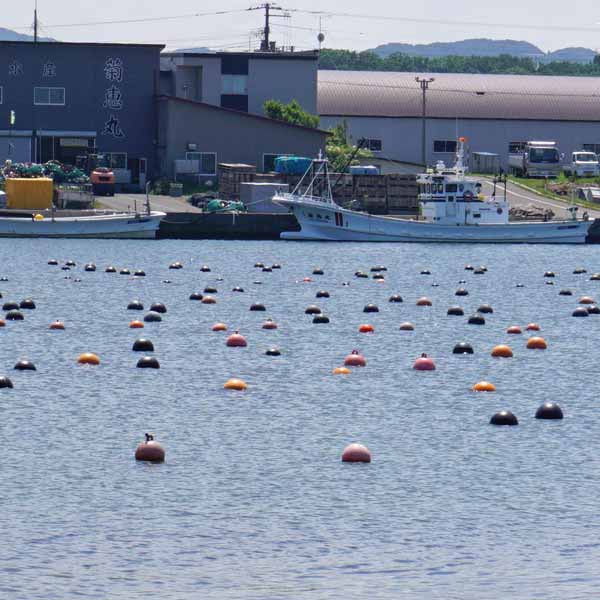 ワッカ原生花園 サロマ湖