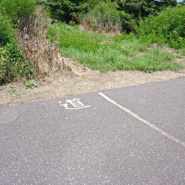 ワッカ原生花園 散策路