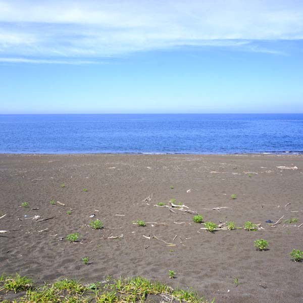 ワッカ原生花園 海岸