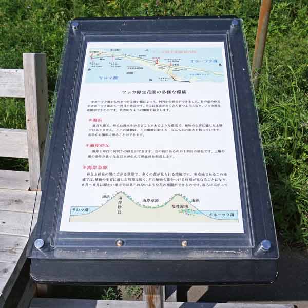 看板 ワッカ原生花園の多様な環境について