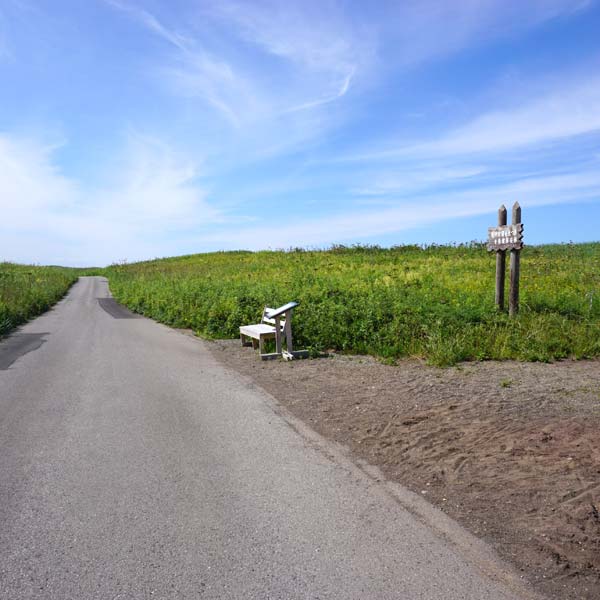 ワッカ原生花園 サイクリングコース