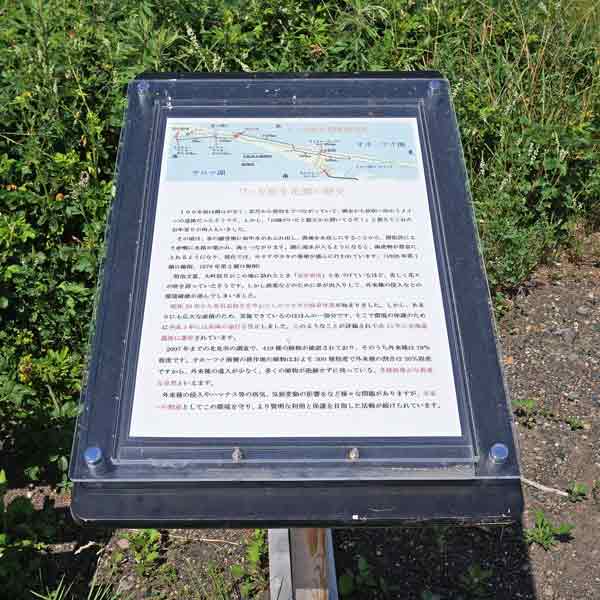 看板 ワッカ原生花園の歴史について