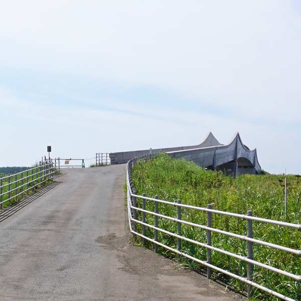 ワッカ原生花園 第二湖口橋