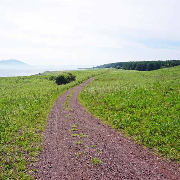 ワッカ原生花園 サイクリングコース