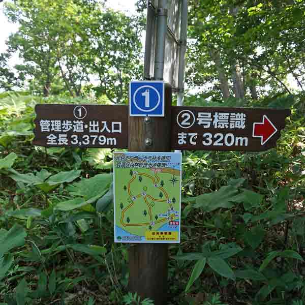 看板 体験ポンプについて