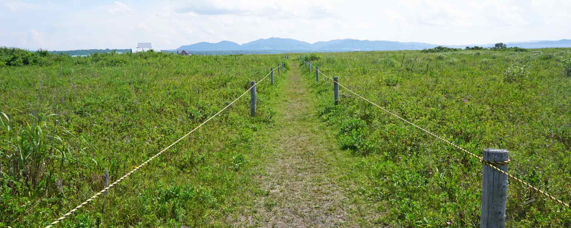 ワッカ原生花園 散策コース