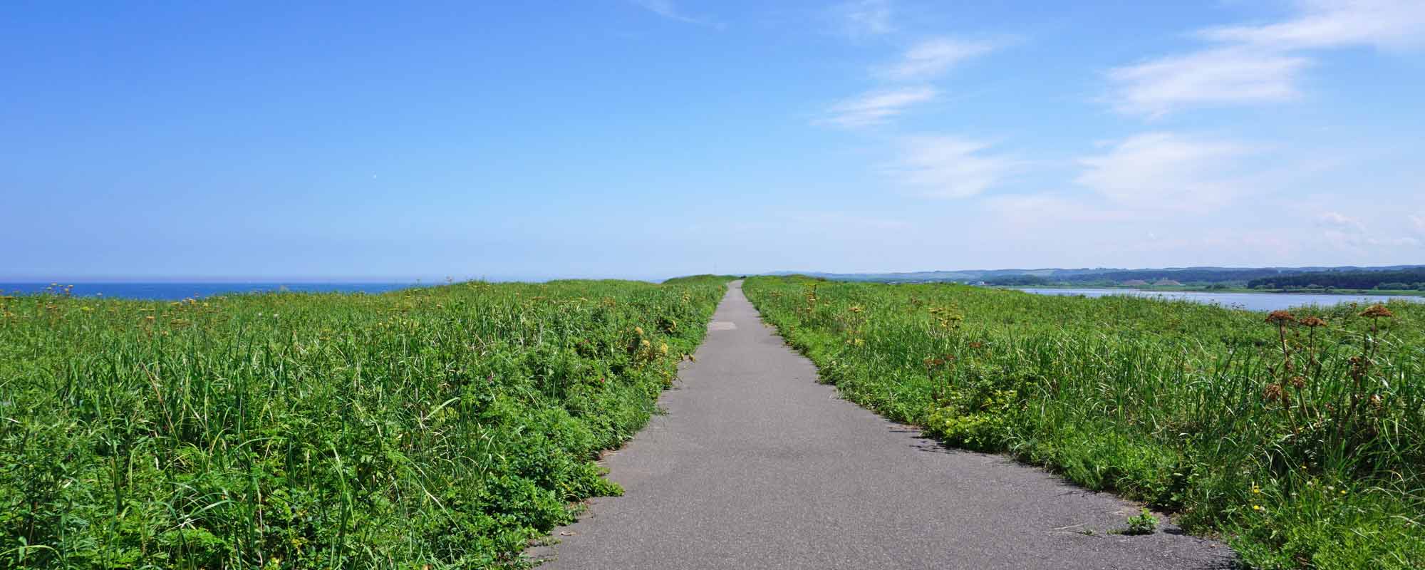 ワッカ原生花園