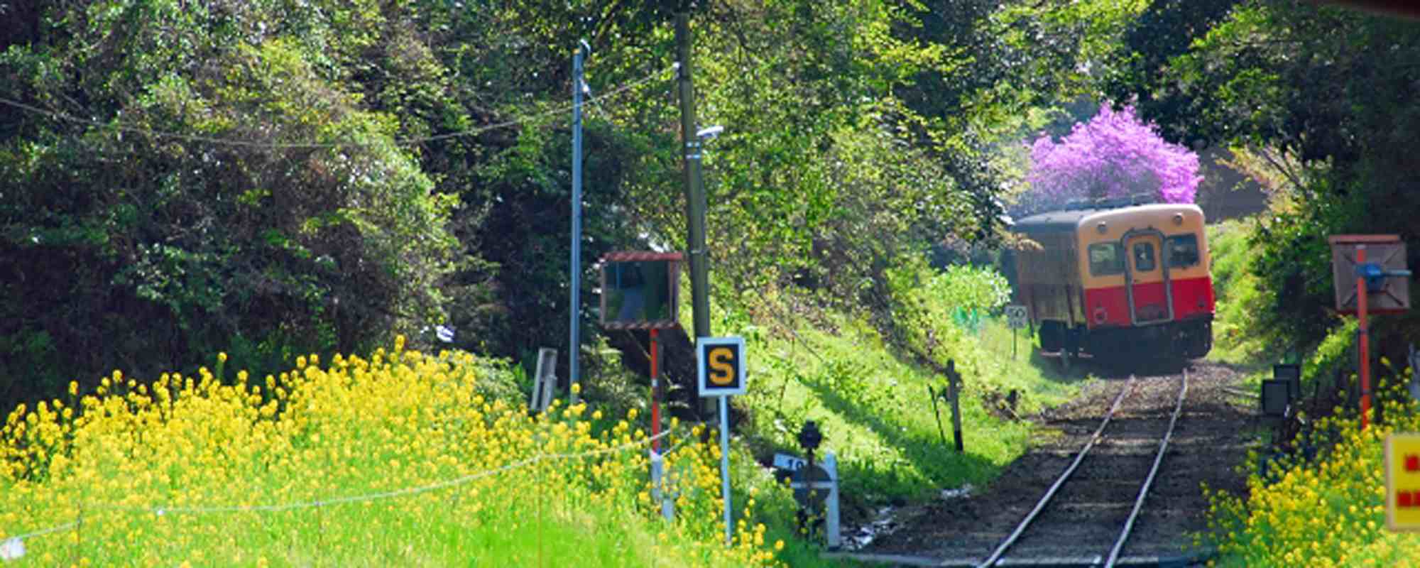 小湊鐡道 房総里山トロッコ