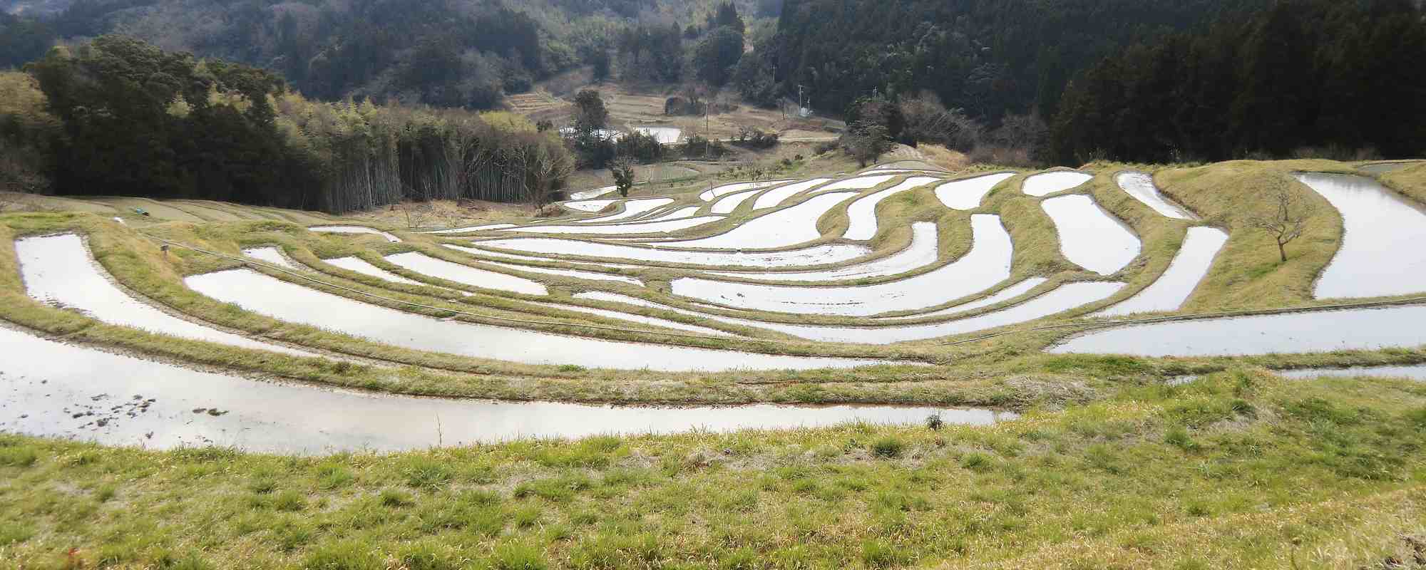 大山千枚田