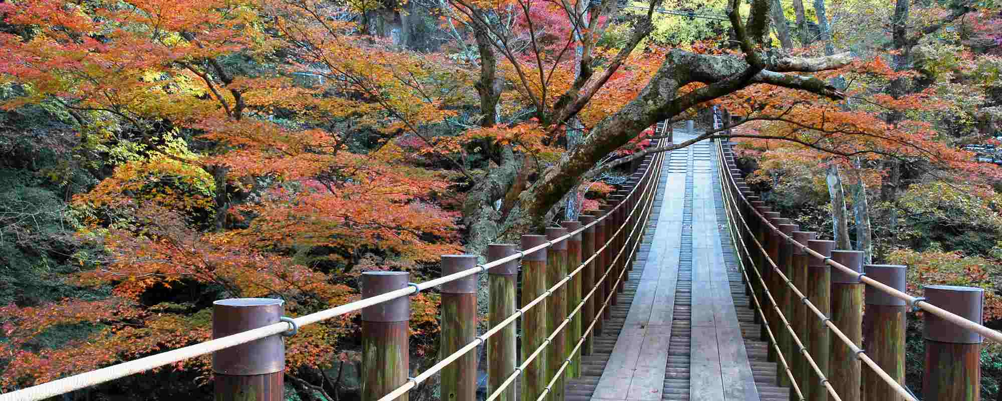 花貫渓谷