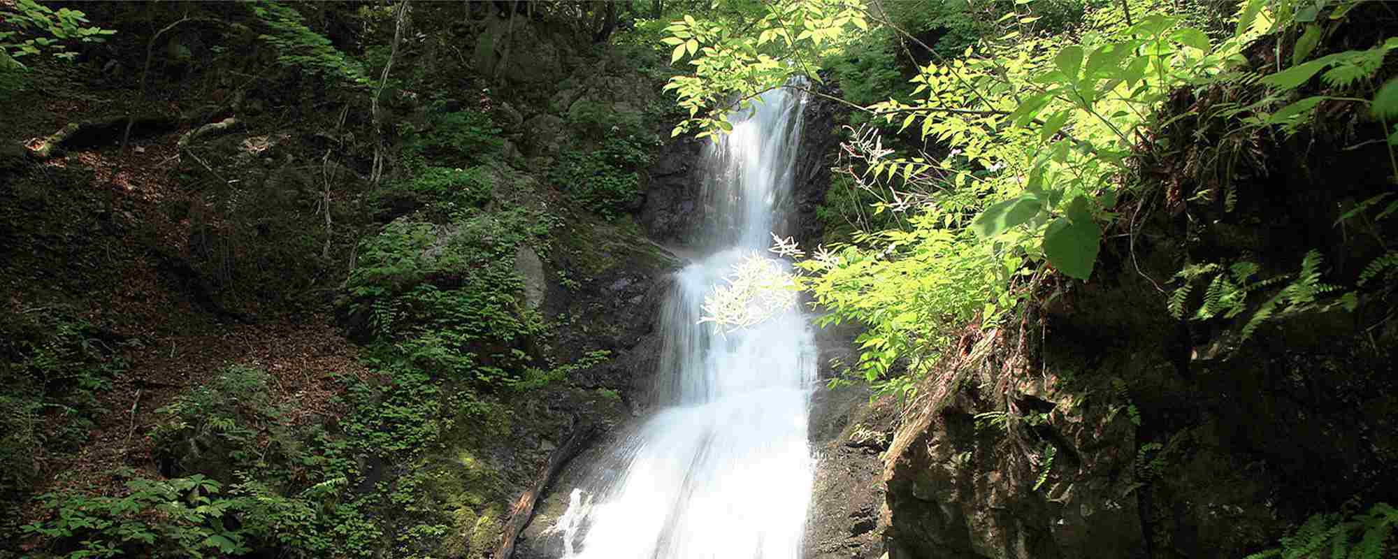 寂光の滝