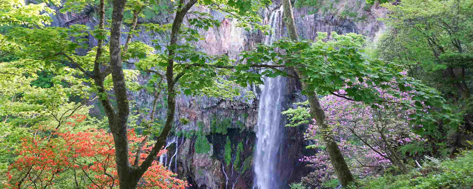 華厳の滝