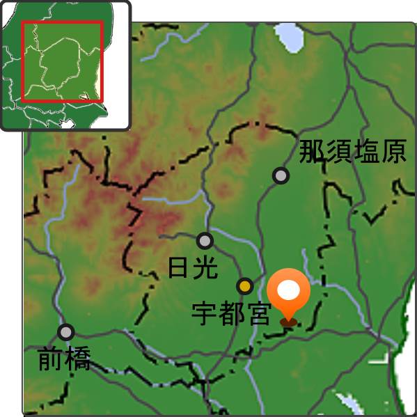 益子町 ひまわり祭り