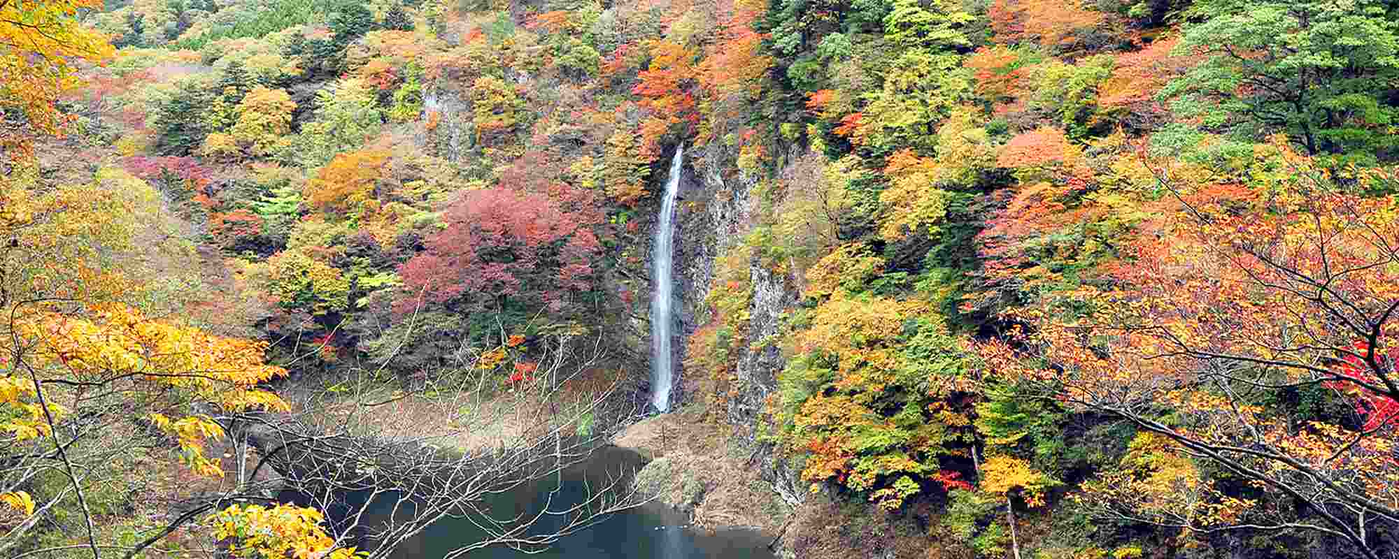 回顧の滝