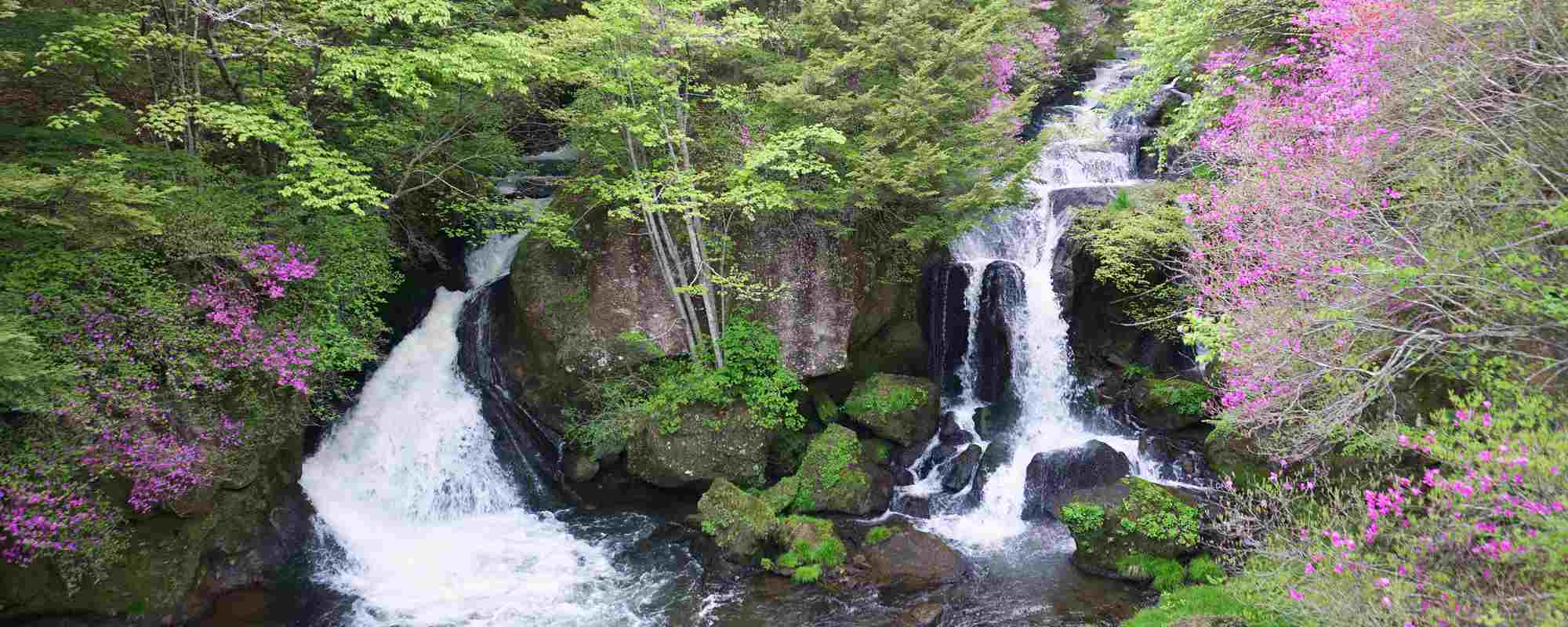 竜頭ノ滝