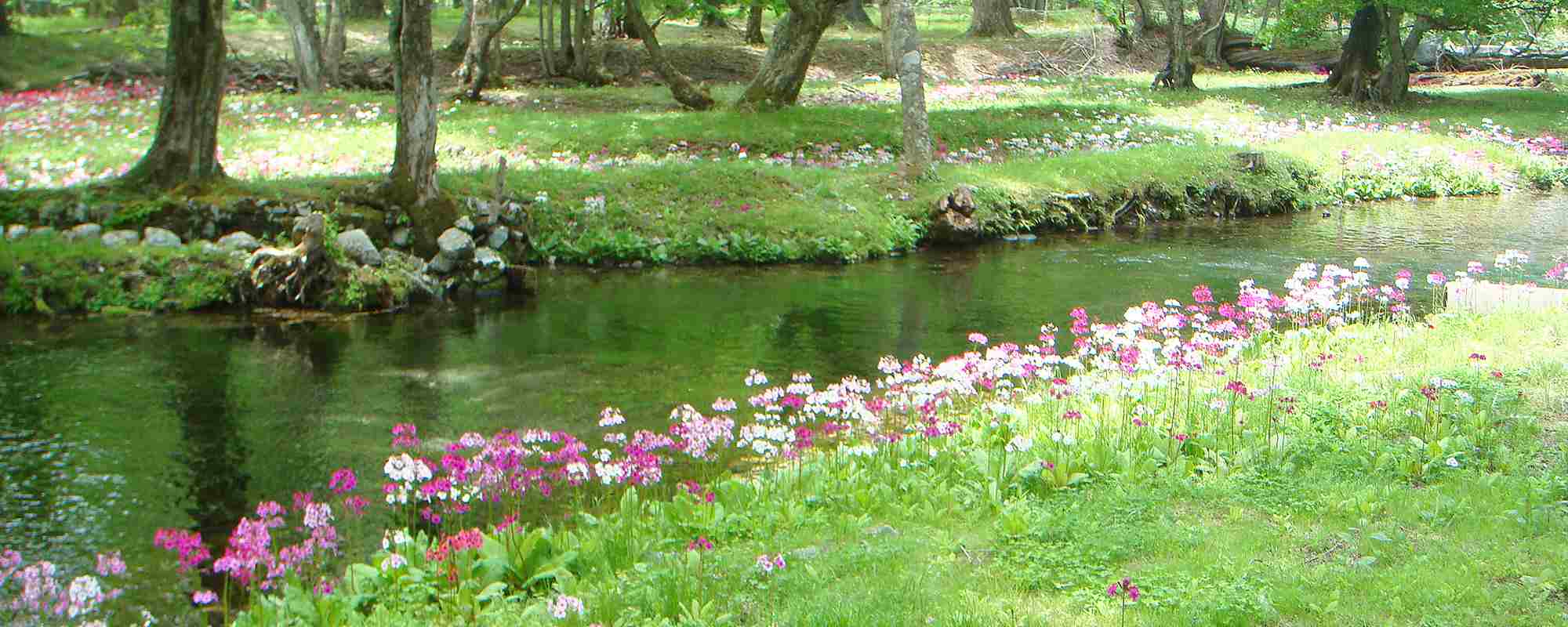 千手ヶ浜