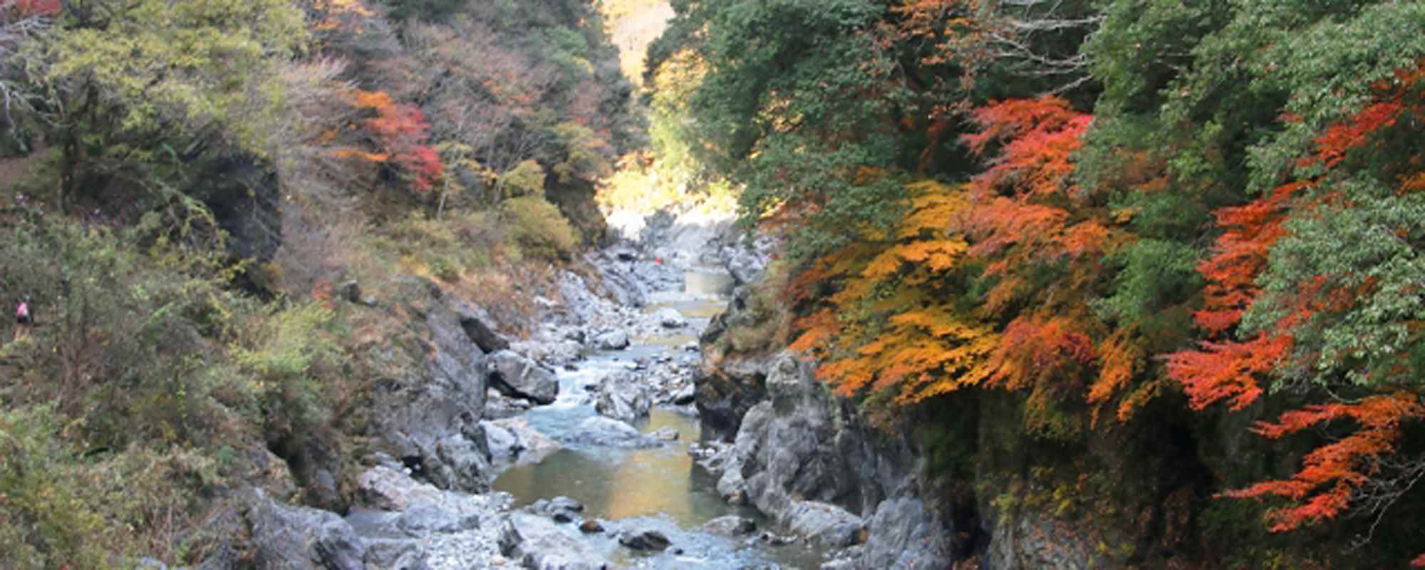 鳩ノ巣渓谷