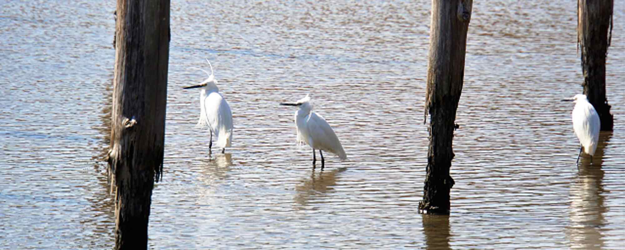 葛西臨海公園・海浜公園