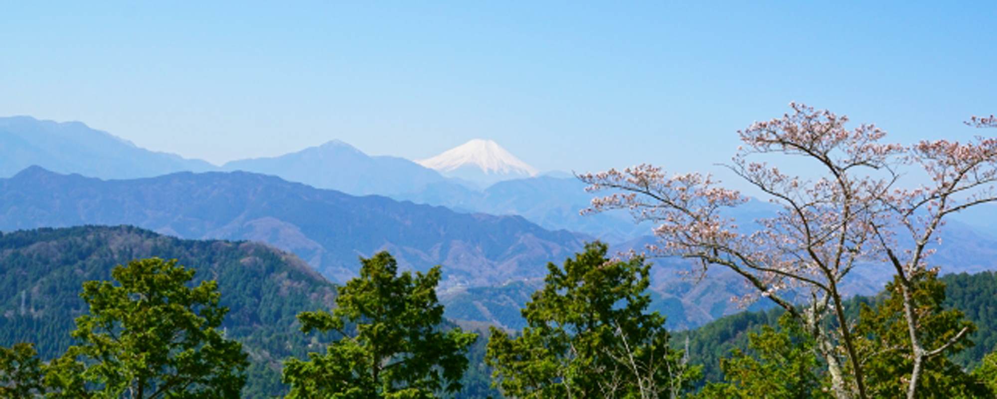 高尾山