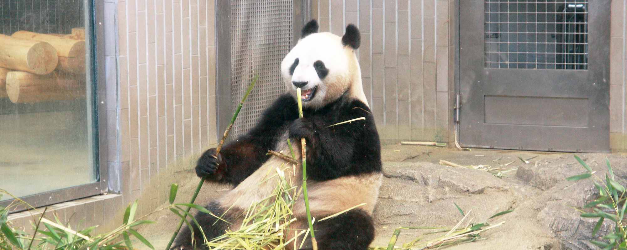 上野動物園