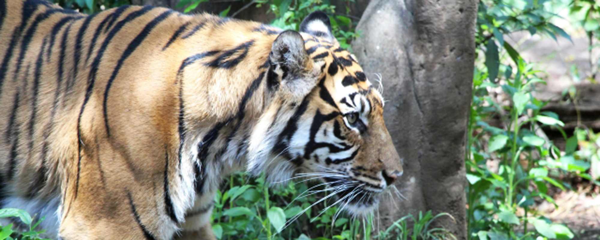 上野動物園