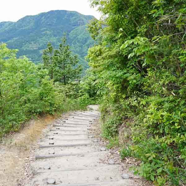 竹田城跡 遊歩道