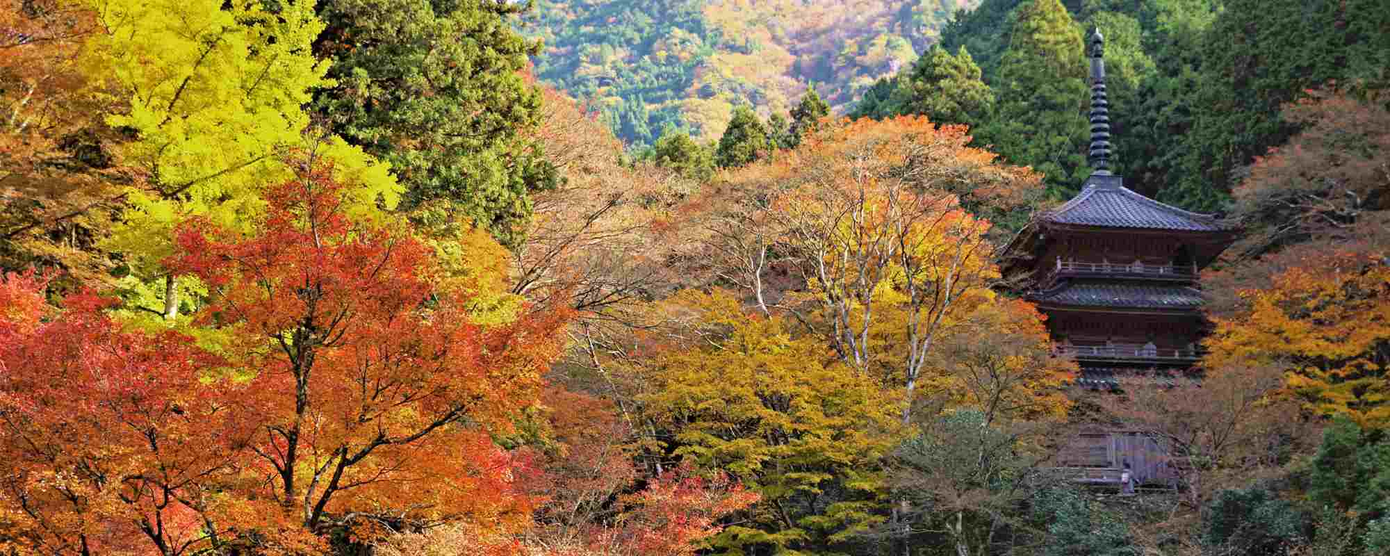 瑞巌山 高源寺