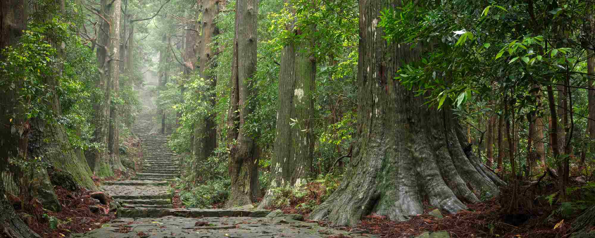 熊野古道