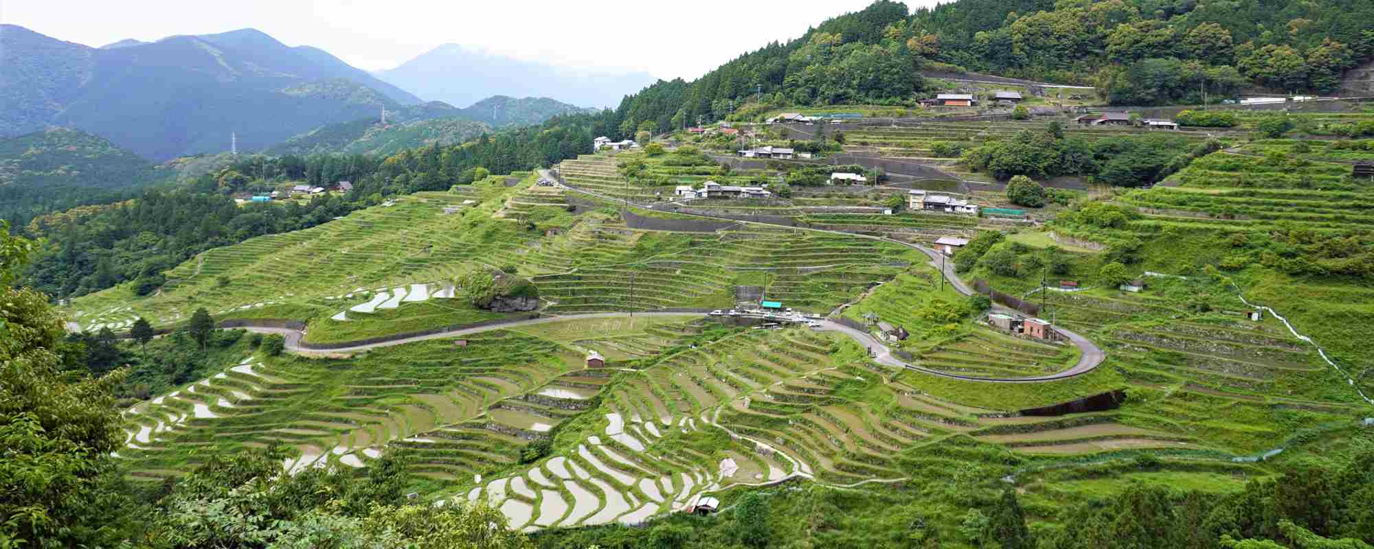 丸山千枚田