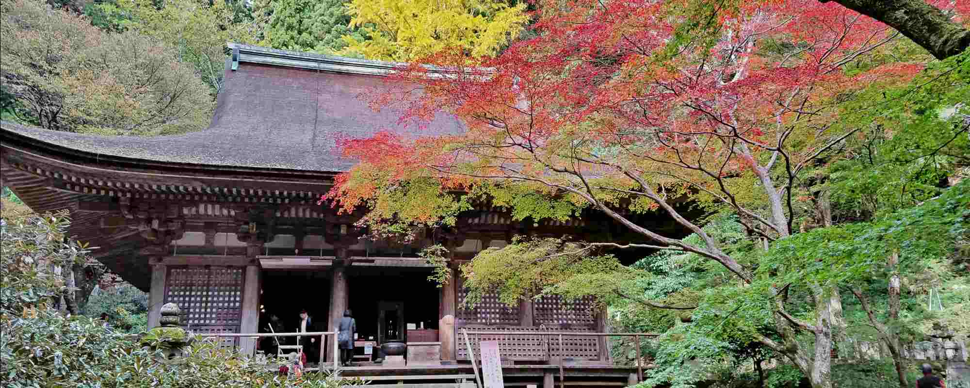 宀一山 室生寺