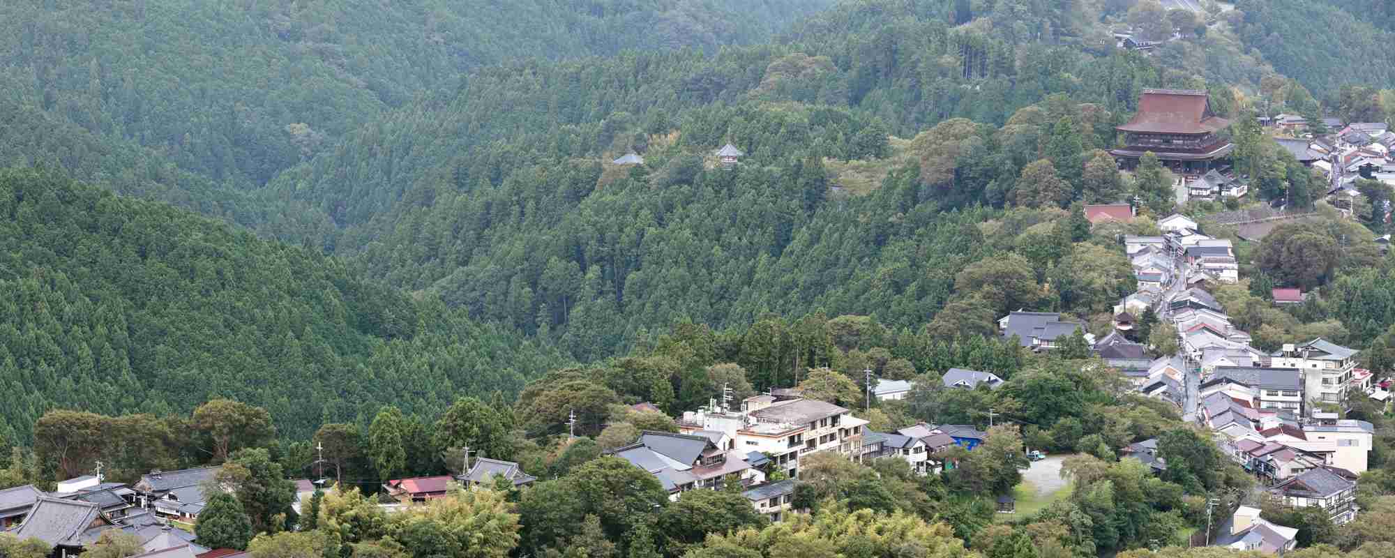 国軸山 金峯山寺