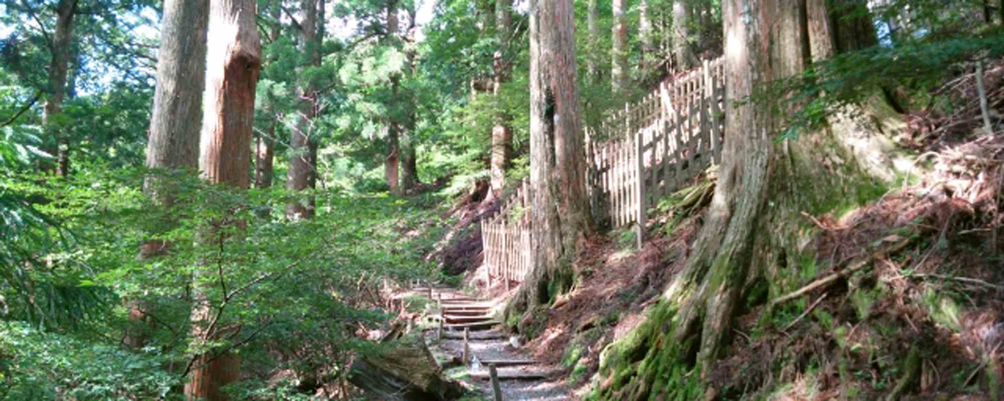 玉置神社