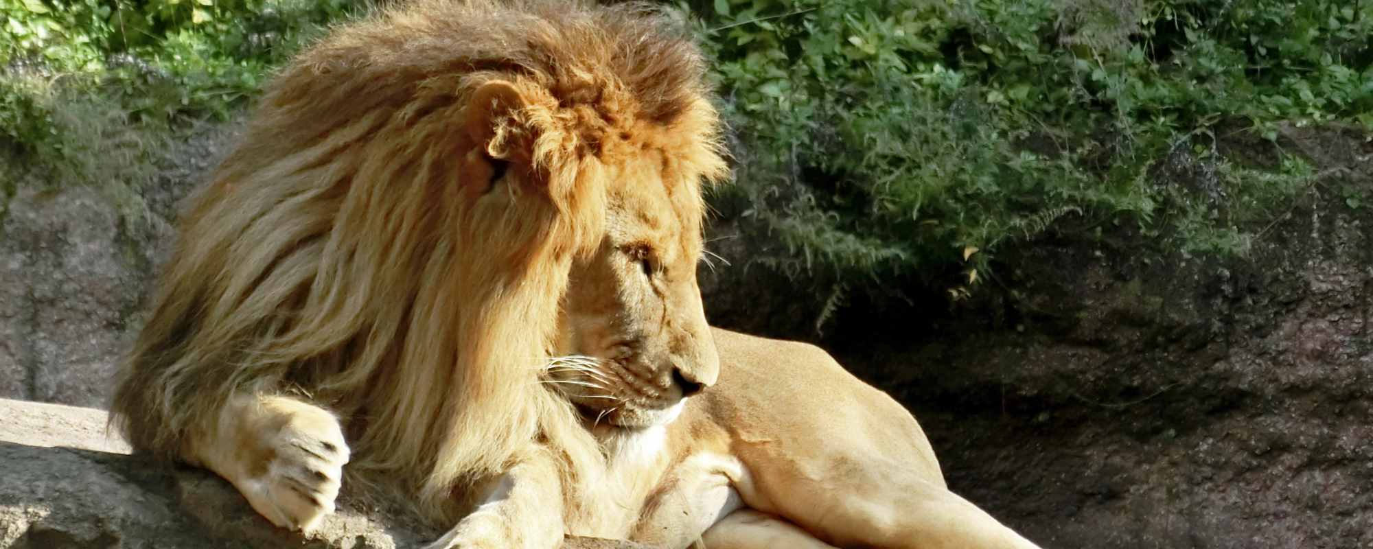 天王寺動物園