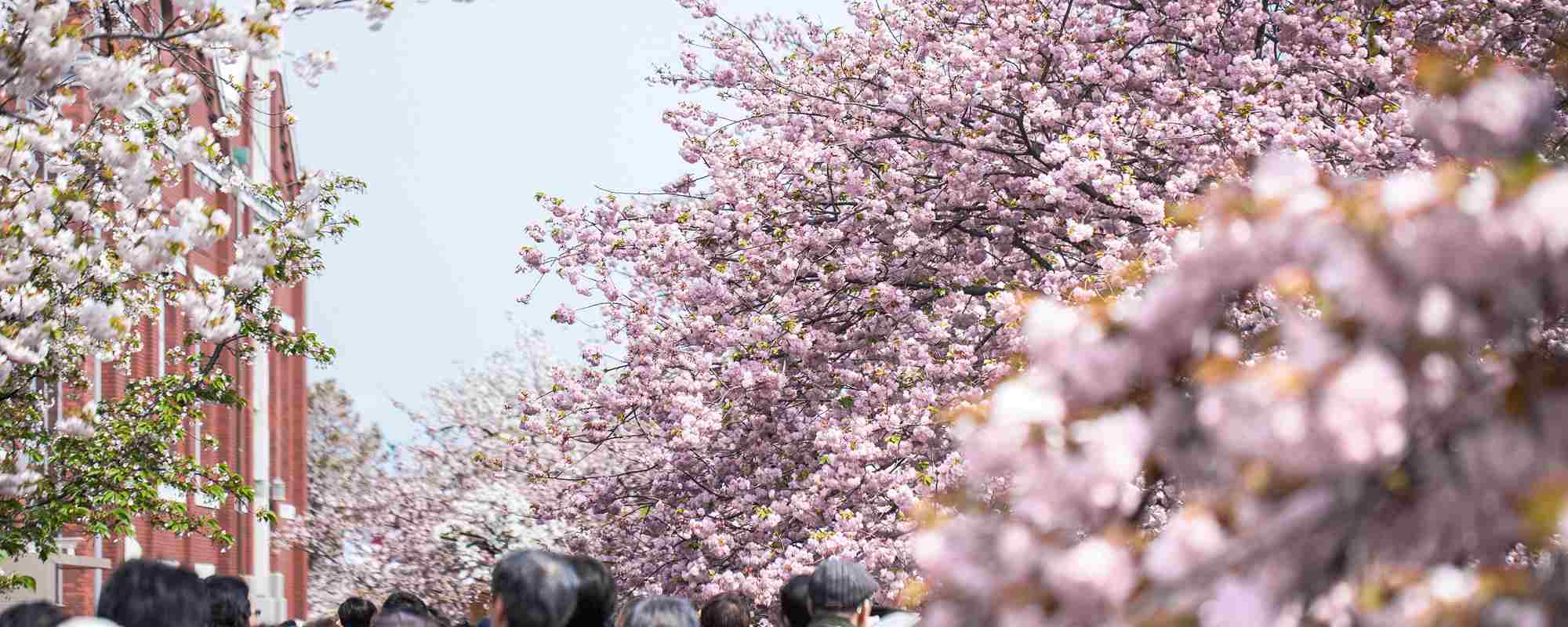 造幣局