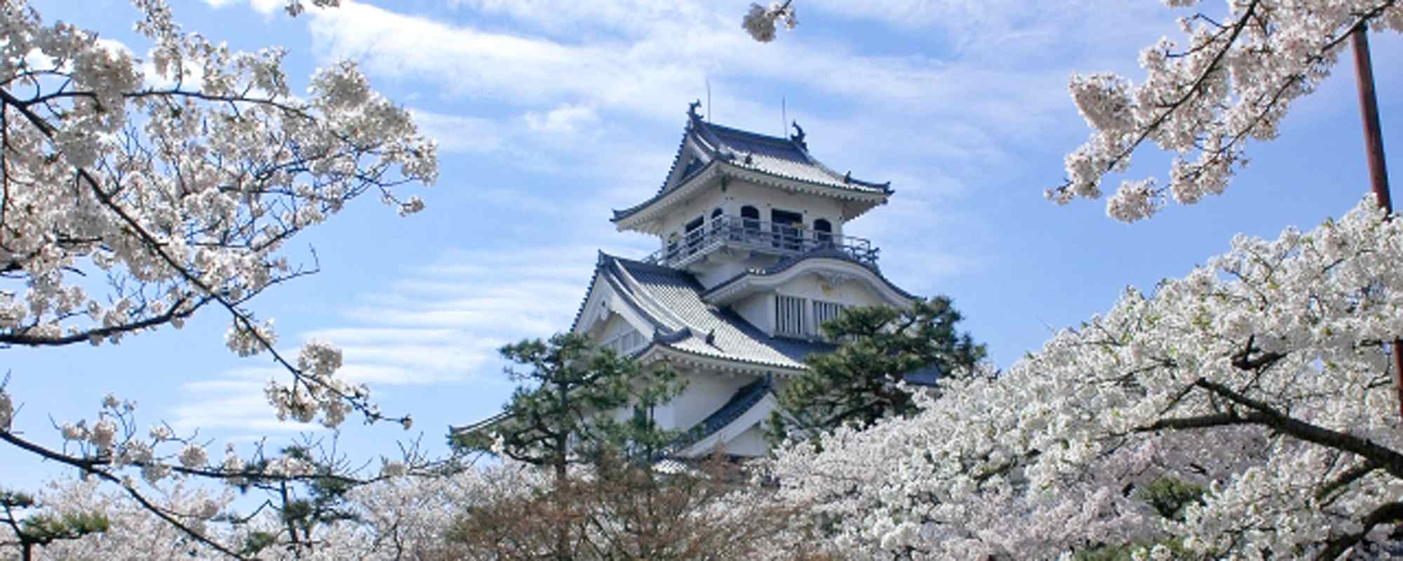 長浜城歴史博物館・豊公園