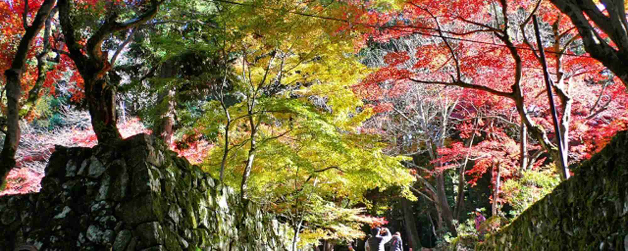 龍応山 西明寺