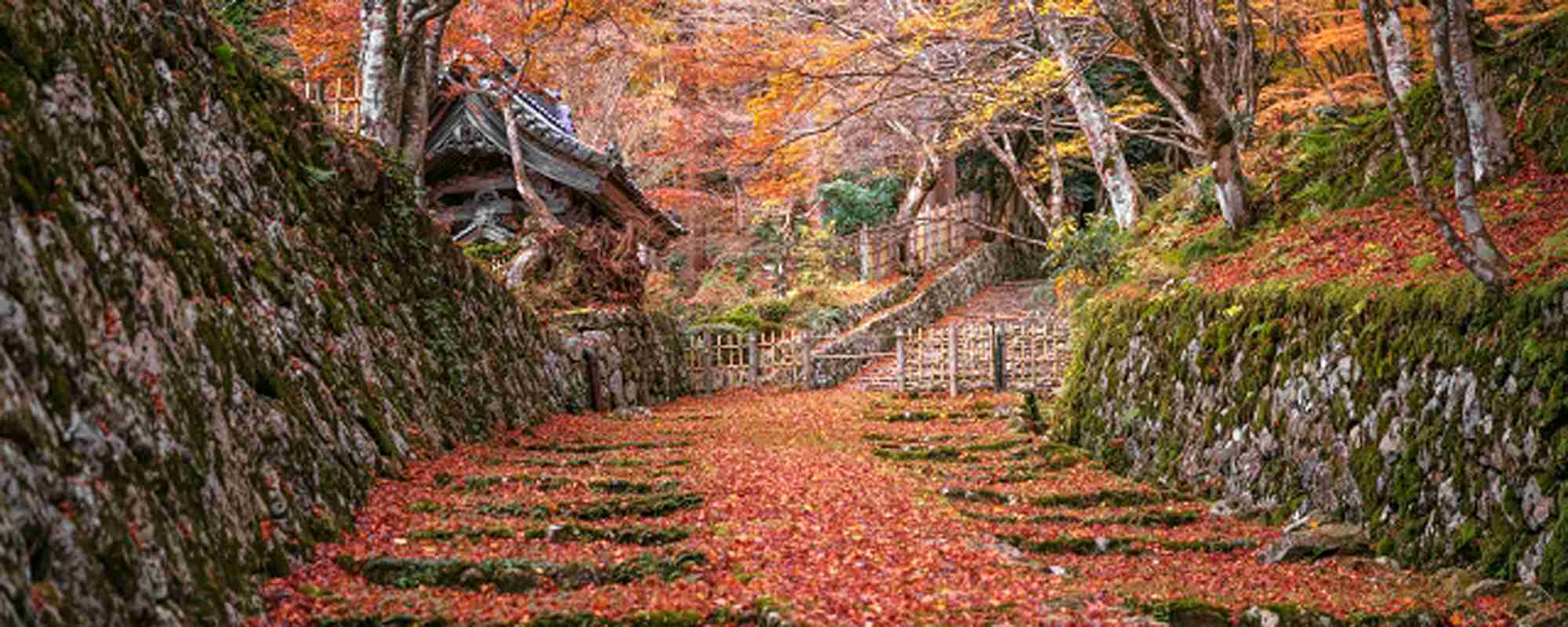 釈迦山 百済寺