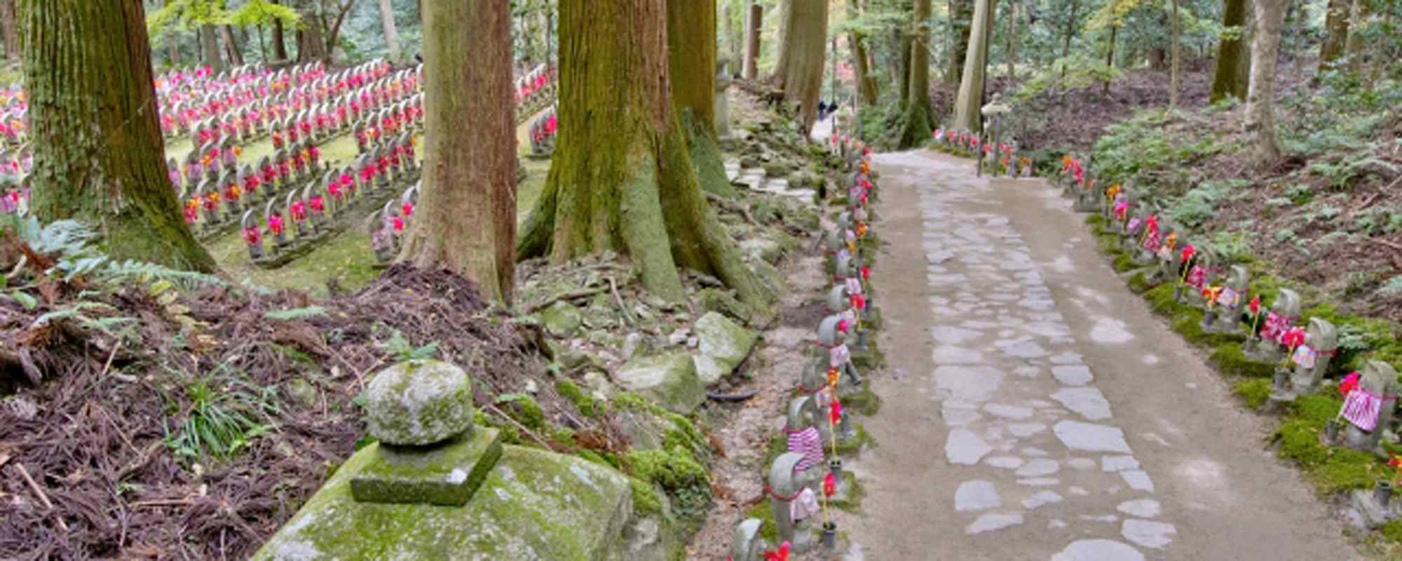 松峯山 金剛輪寺