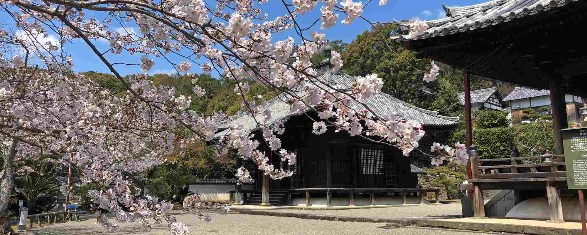 一乗山 根來寺